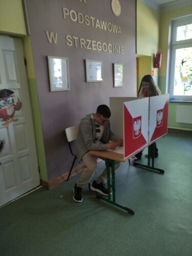 Głosujemy - zgodnie z zasadą tajności